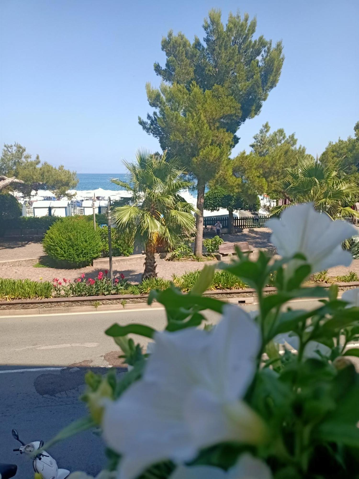 Hotel Serena Arenzano Zewnętrze zdjęcie